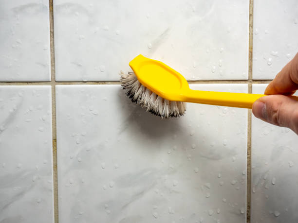 Best Mold Removal Near Me  in Mountainhome, PA