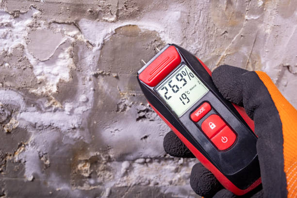 Best Residential Mold Removal  in Mountainhome, PA