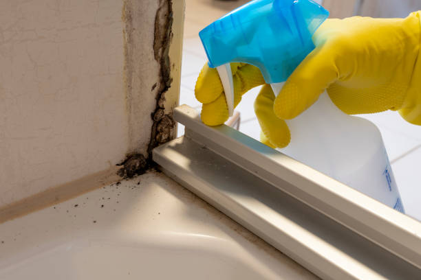 Best Mold Removal Process  in Mountainhome, PA